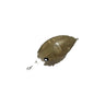 10 - Pellet Brown