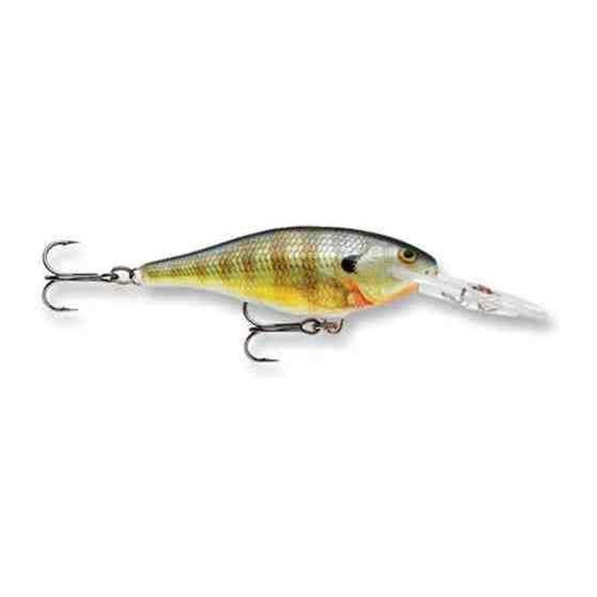 Rapala Shad Rap SR5 in BG — official product photo