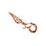 Orange Zebra