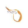 Shrimp Orange Scale