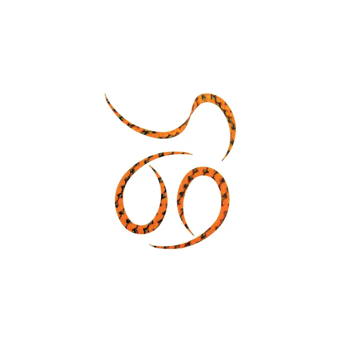 Orange Zebra