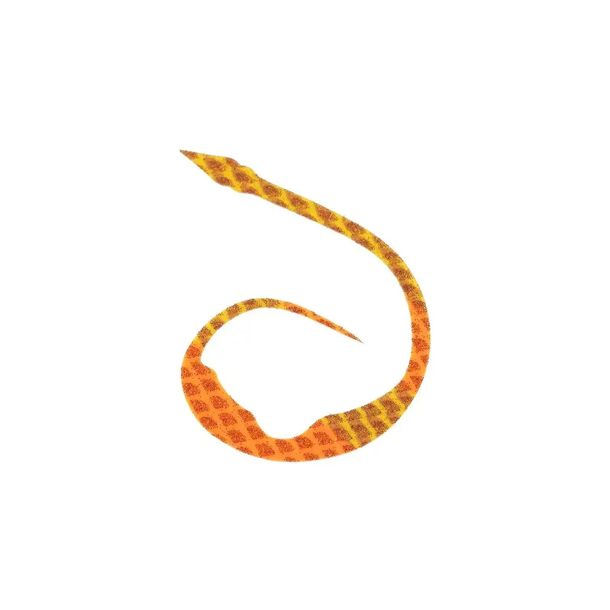 Striped Orange Scale