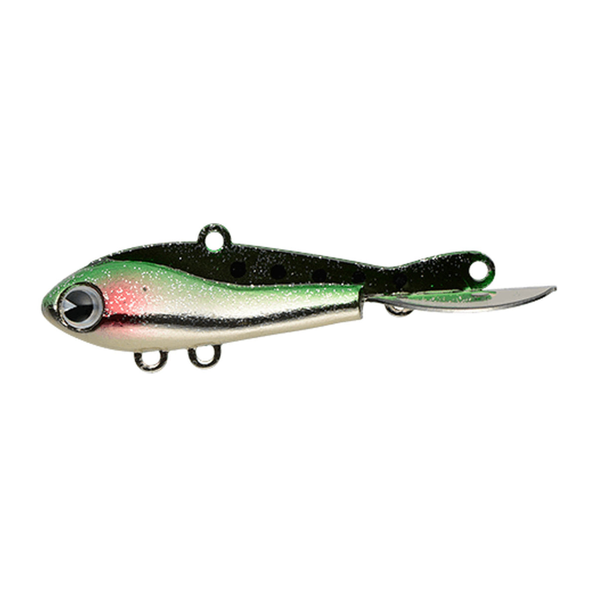 Ima SW320V Gaur in Viridian Sardine — official product photo