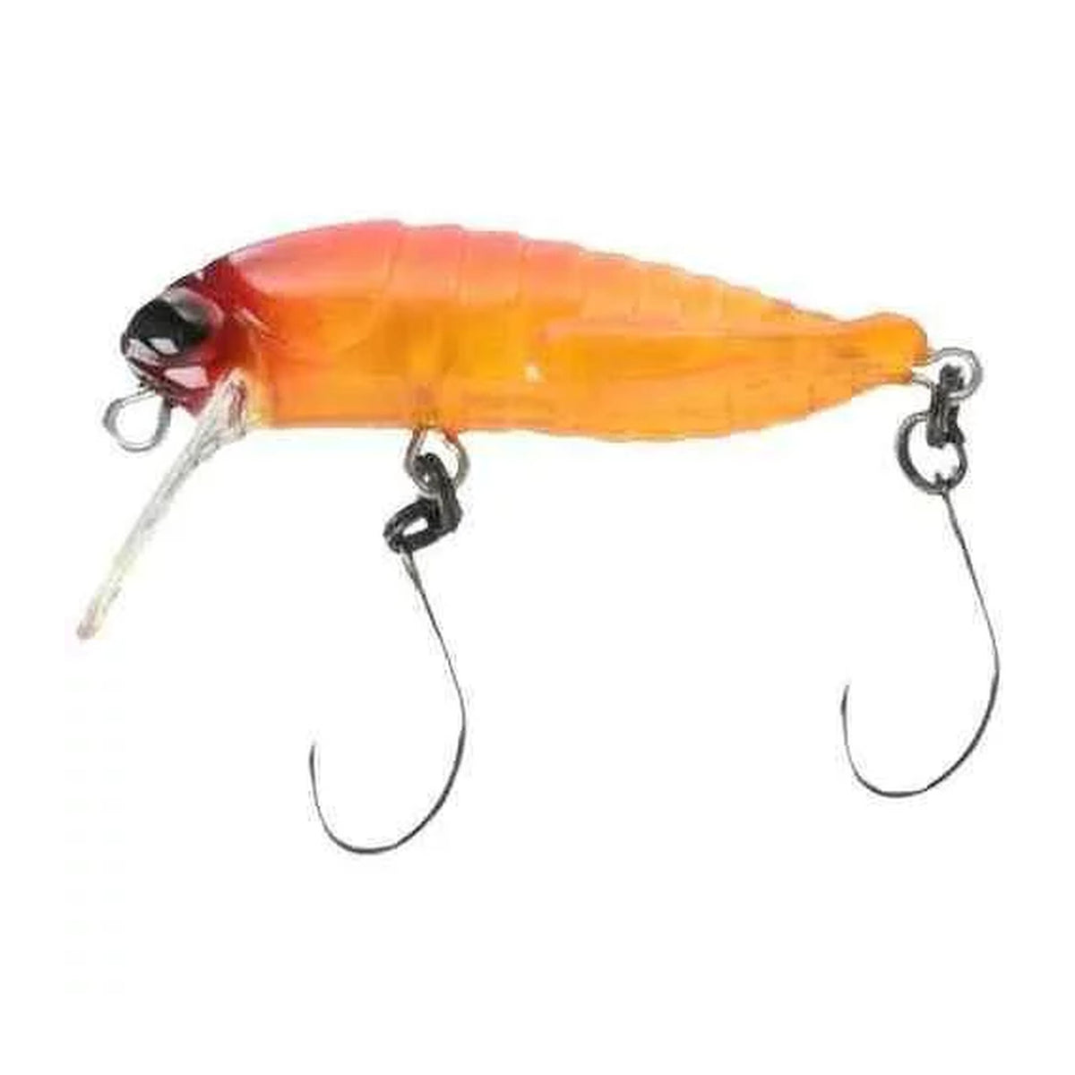No.5 Aurora Orange