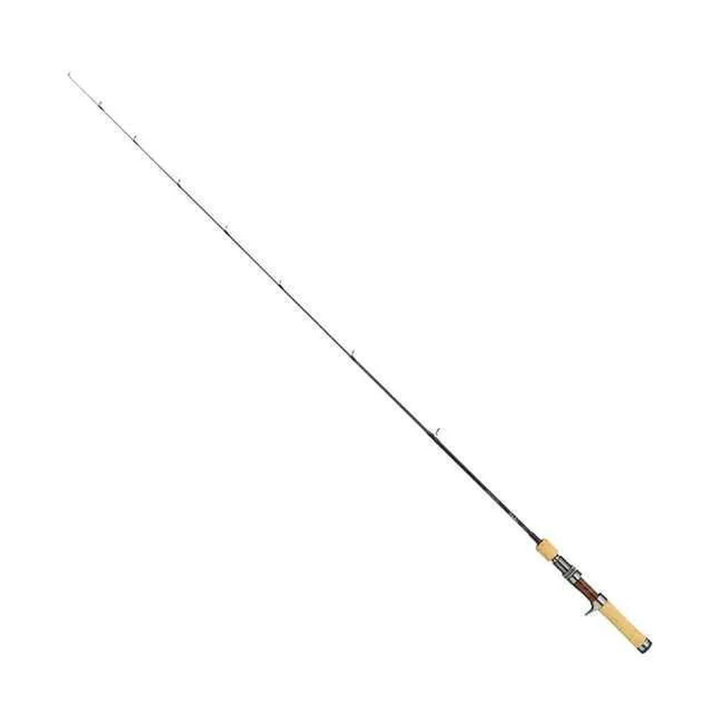 C43L-T