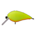 TEST - Office Eucalyptus Mini Kura SS #1 Belly Orange