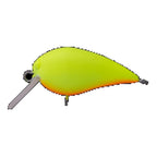 TEST - Office Eucalyptus Mini Kura SS #1 Belly Orange