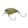 Yaji Perfect Olive