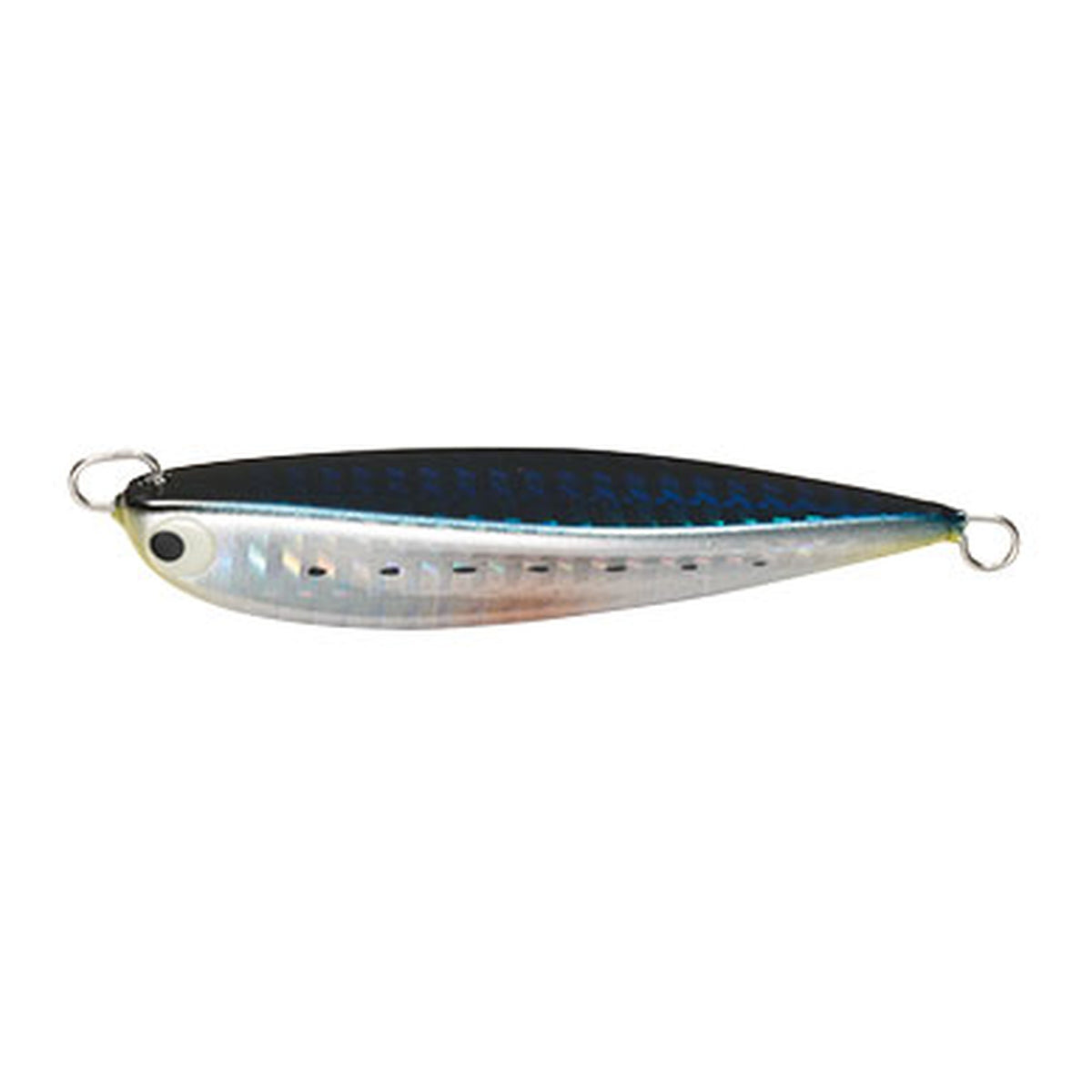 No.3 Sardine