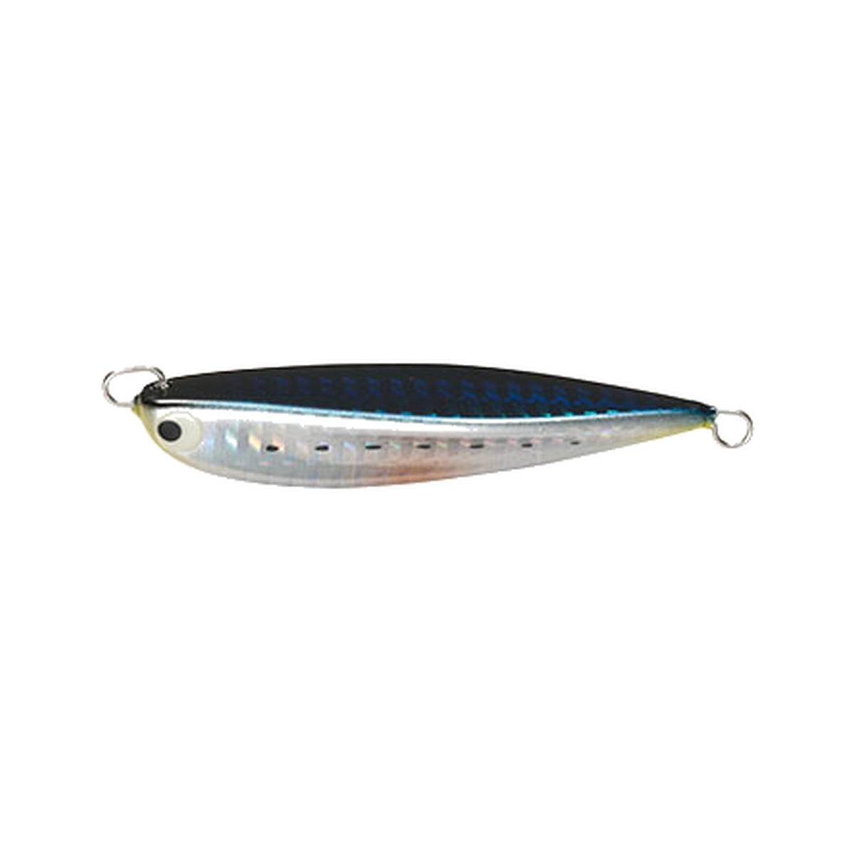 No.3 Sardine