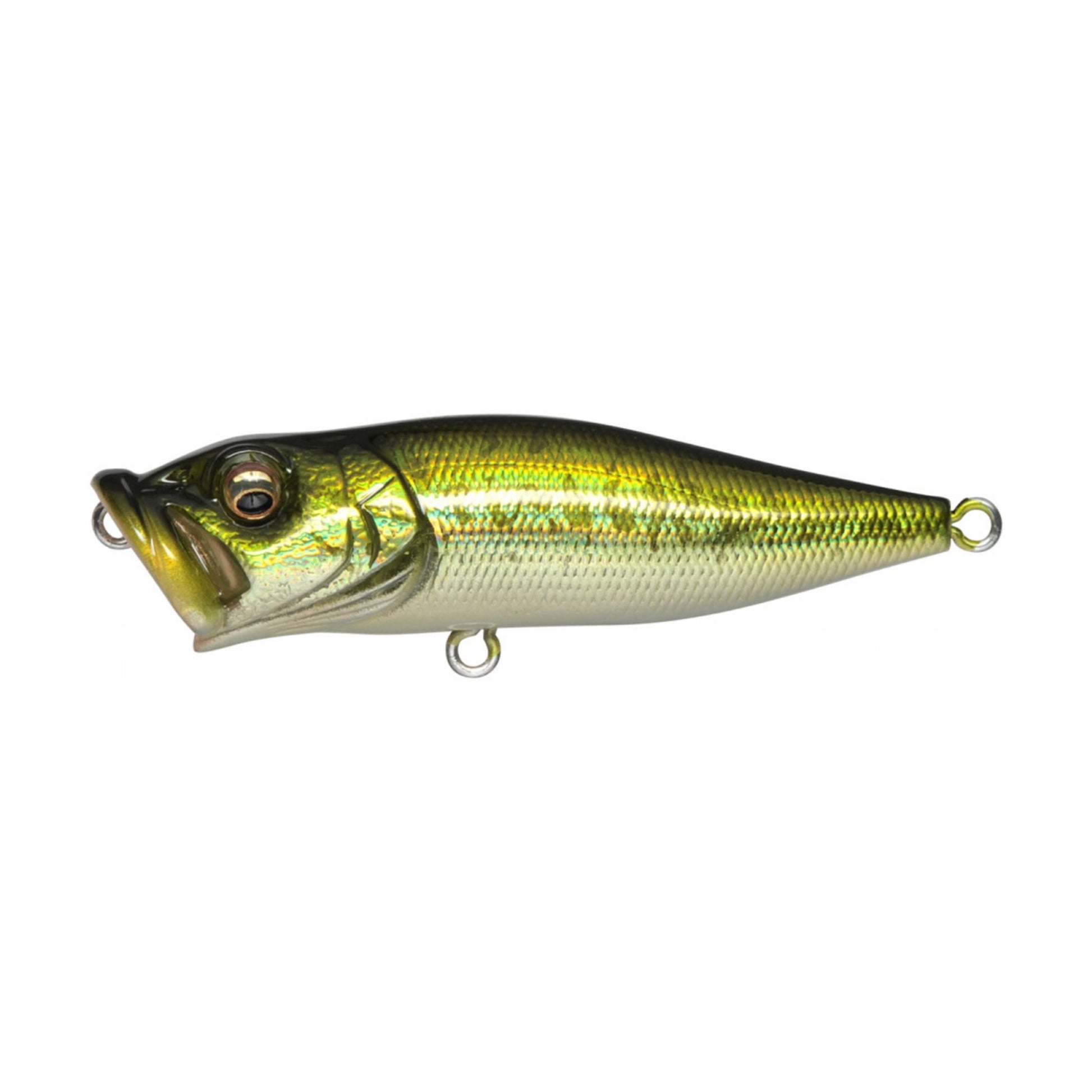 Megabass Pop-X in GG Bass — official Megabass product photo