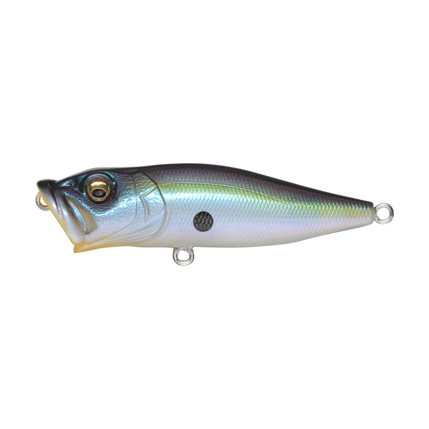 Megabass Pop-X in Sexy French Pearl — official Megabass product photo