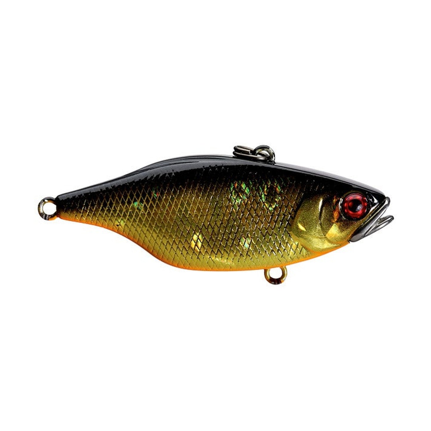 Jackall TN70 in HL Black & Gold — official Jackall product photo