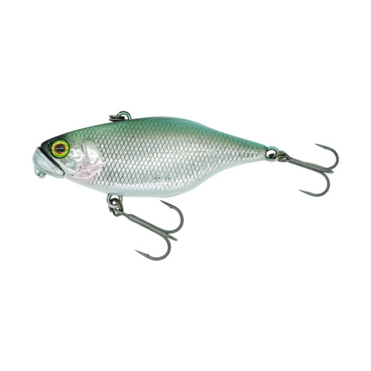 DSTYLE TN60 TypeD SS in Silver Fang Carp — official product photo
