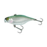 Silver Fang Carp