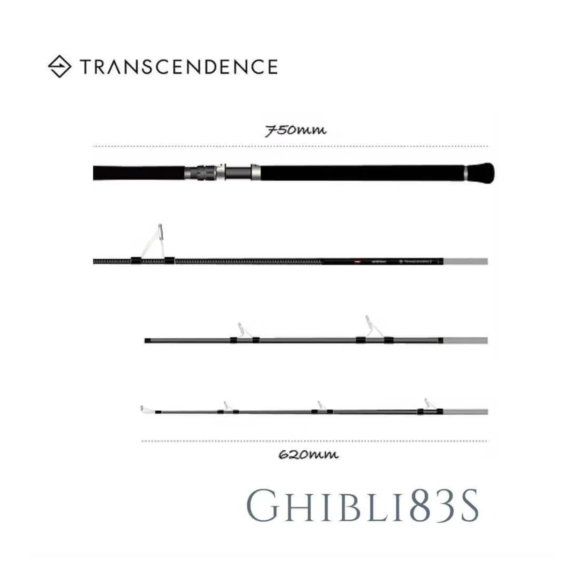 TRANSCENDENCE Ghibli83S