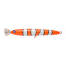 #10 Anemone Fish