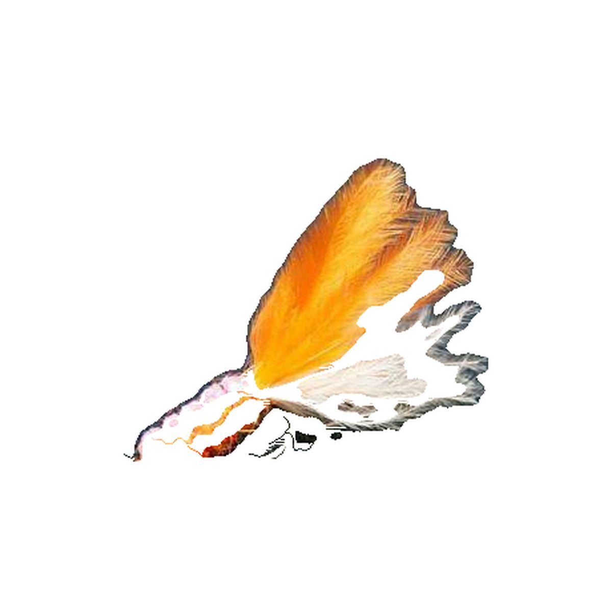 LC-03BL Mix Orange