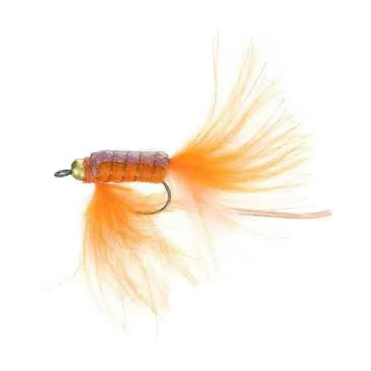 LC-23BL Orange