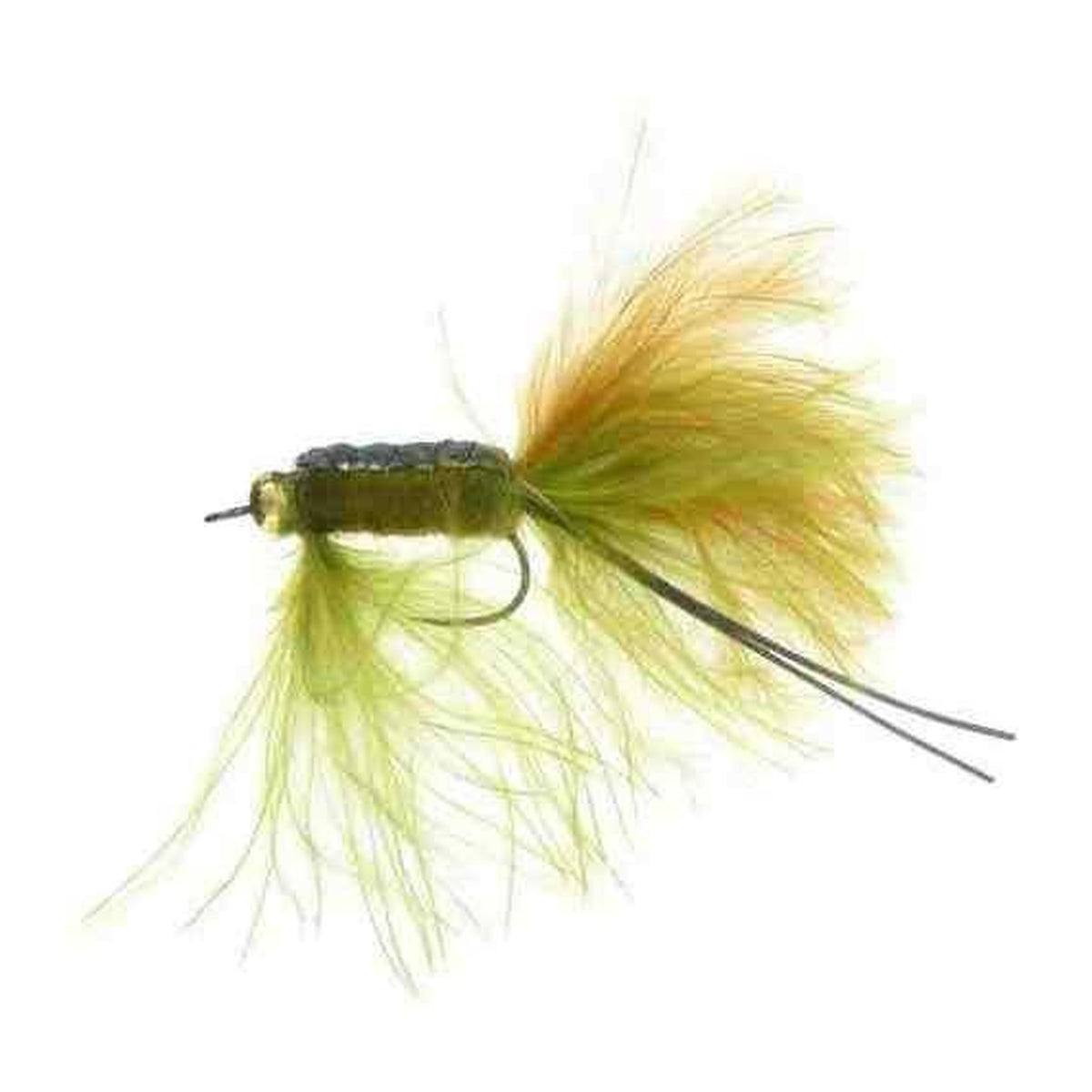 LC-26BL Olive Brown
