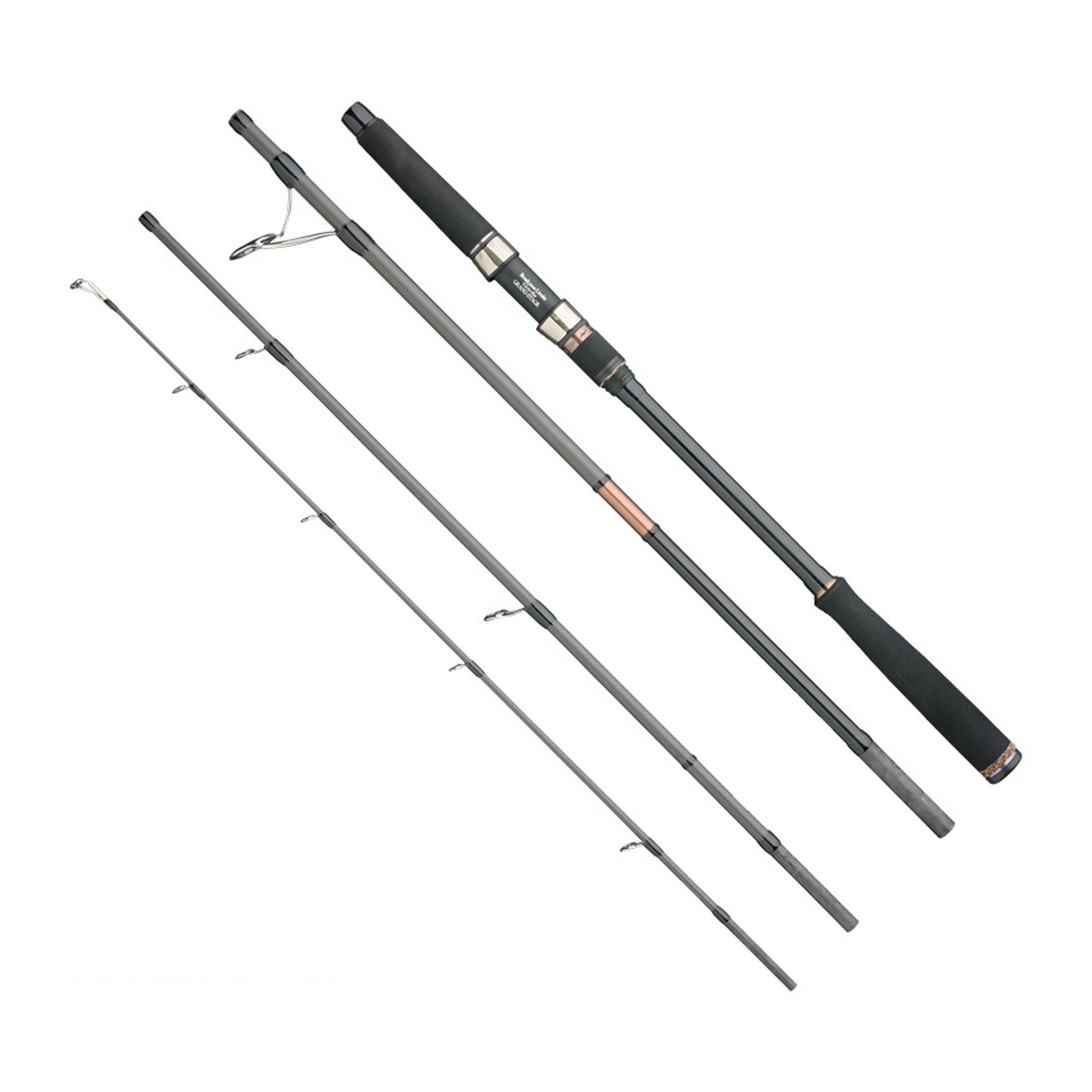 Apia VOYAGER EXIV SILVER KING S78H 4-piece rod