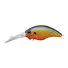 Bleeding Sunfish