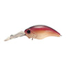 Brown Shad
