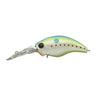 Champion Shad