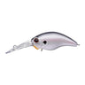 Cold Shad