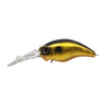 Golden Shiner