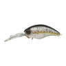 King Shad