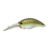 Olive Copper Shad