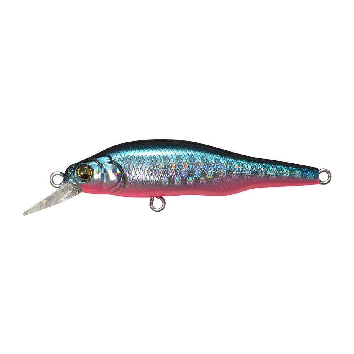 Megabass X-80jr. SW in GG Blue Pink — official product photo