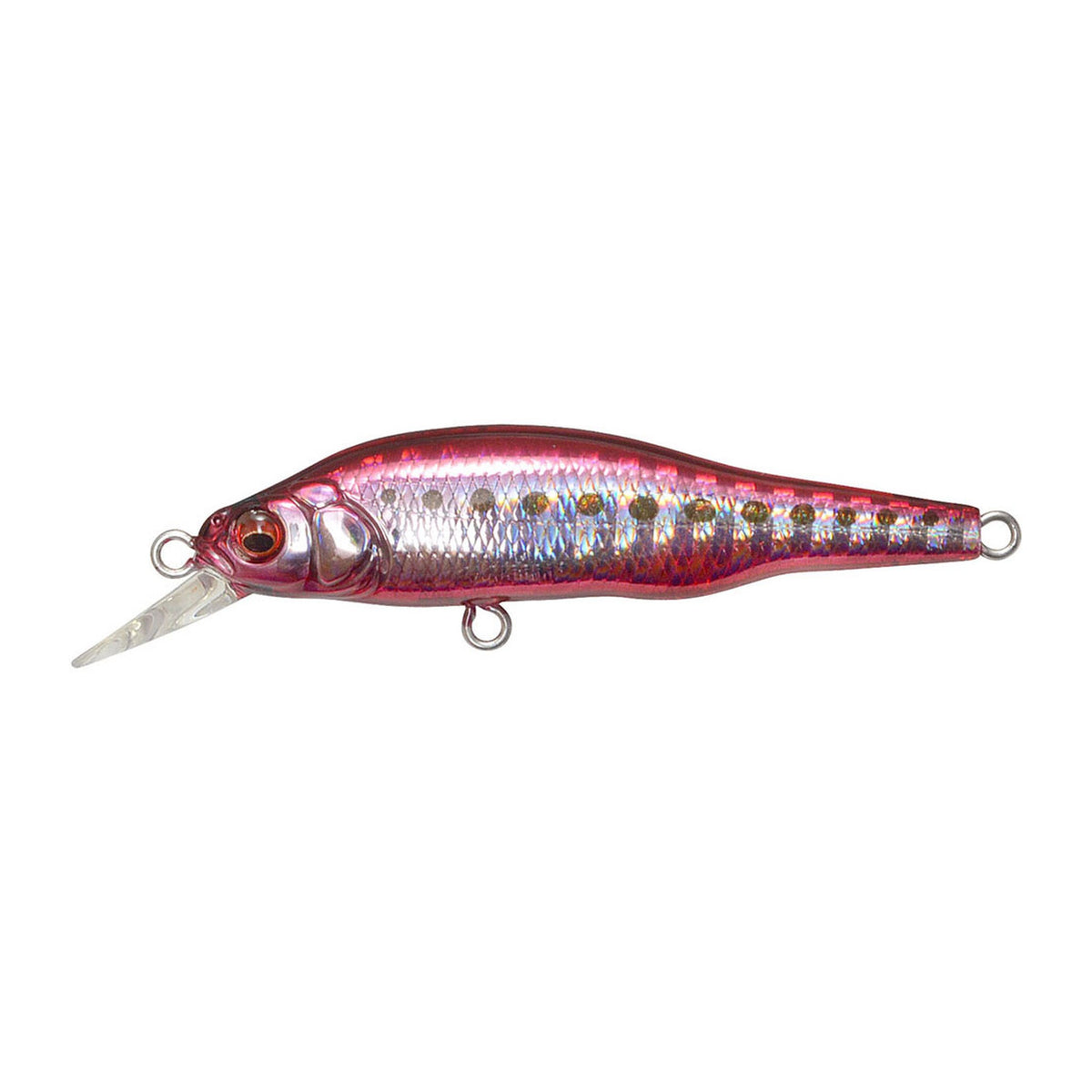 Megabass X-80jr. SW in GG Heat Iwashi — official product photo