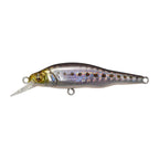Megabass X-80jr. SW in GG Iwashi — official product photo