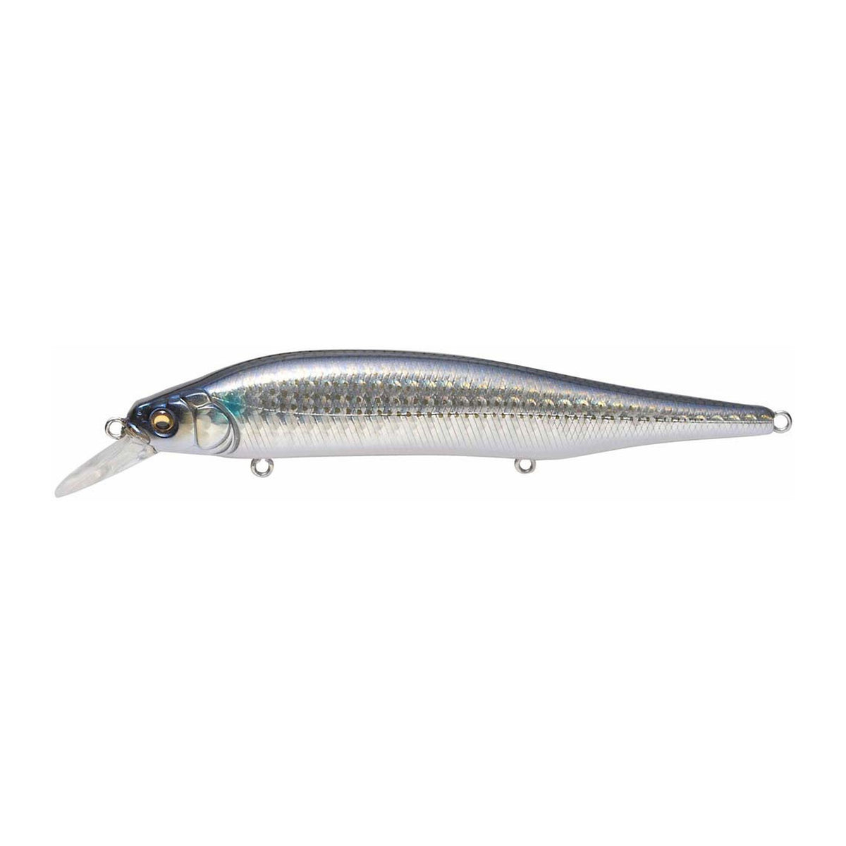 Megabass X-80 Magnum in GG Bora — official product photo