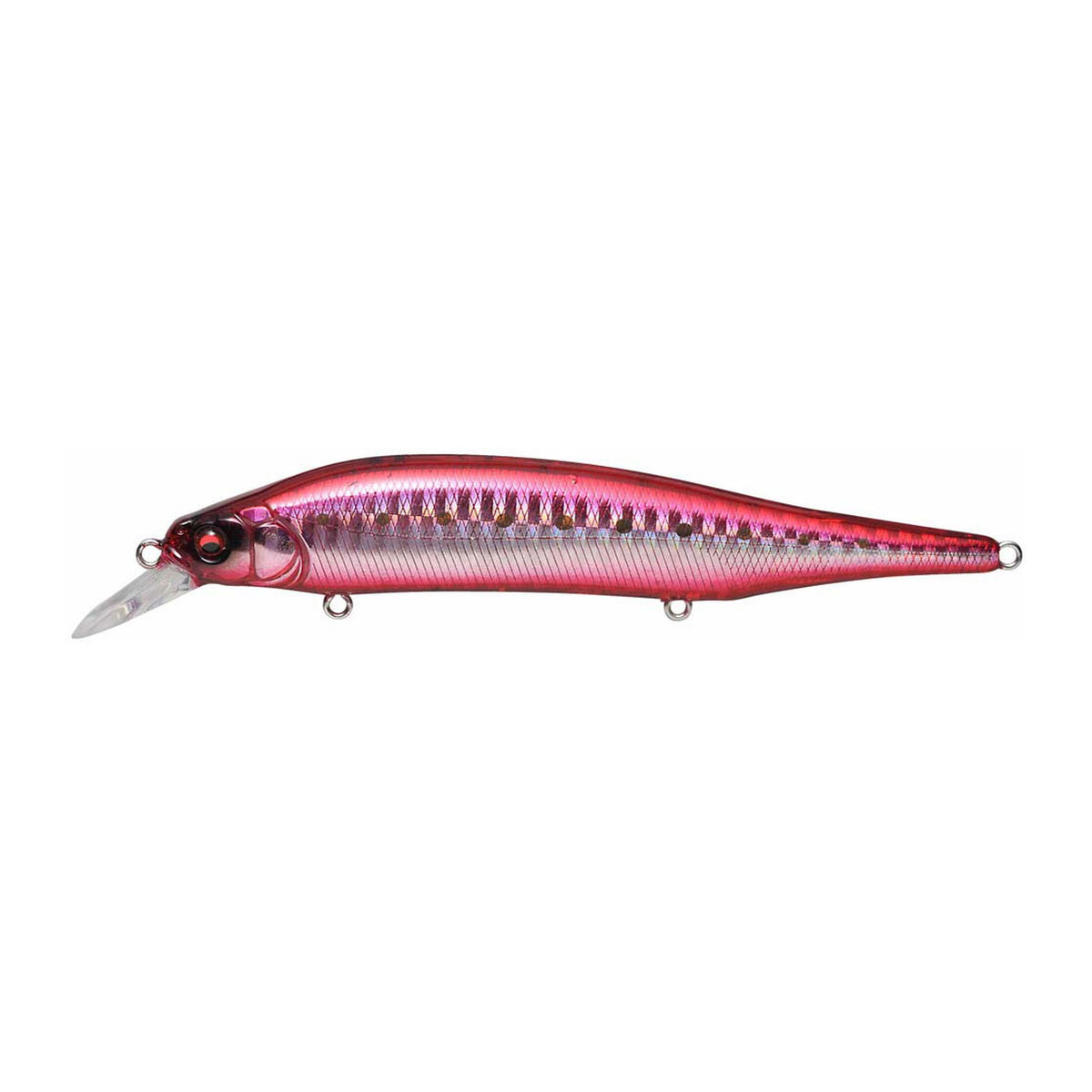 Megabass X-80 Magnum in GG Heat Iwashi — official product photo