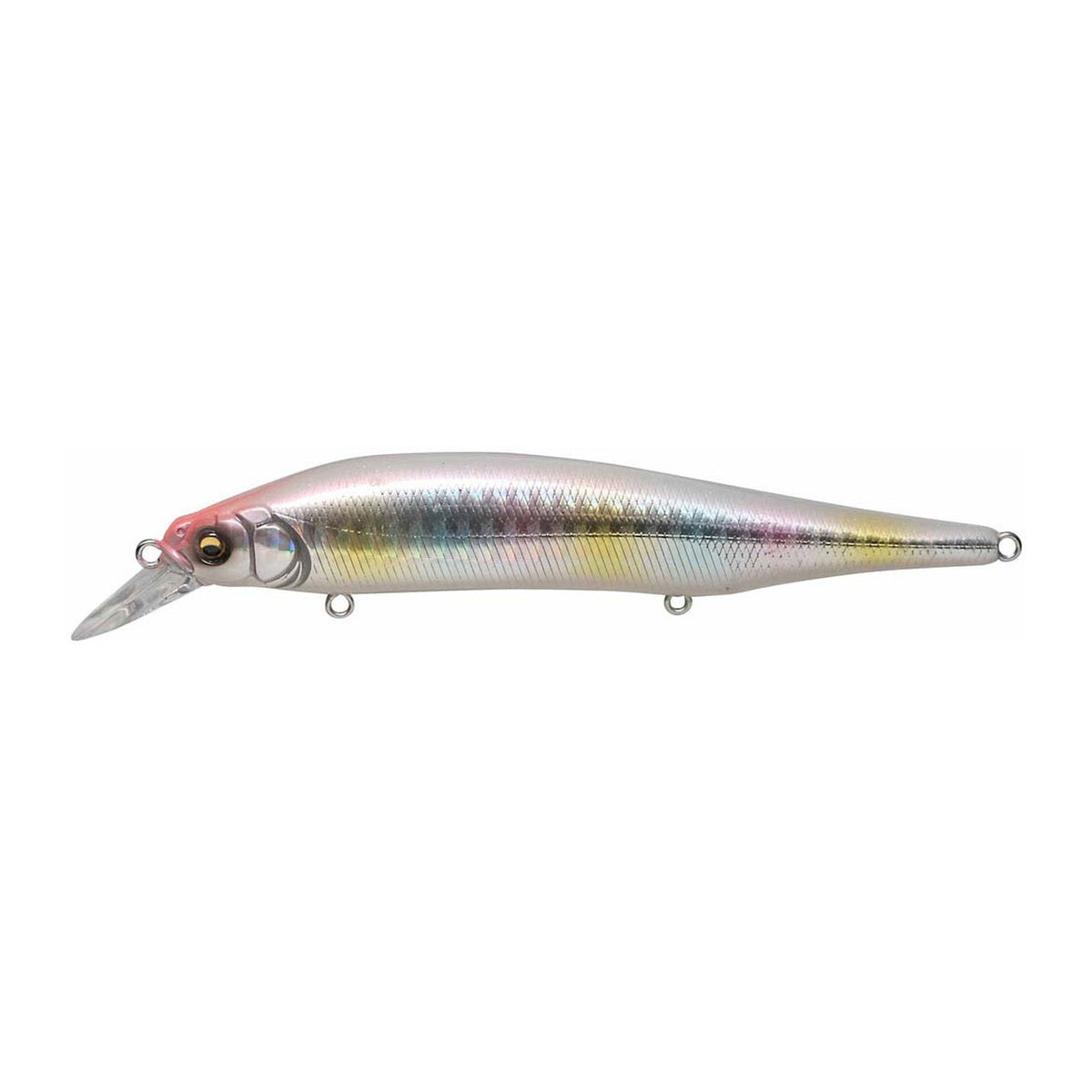 Megabass X-80 Magnum in GG Rainbow — official product photo