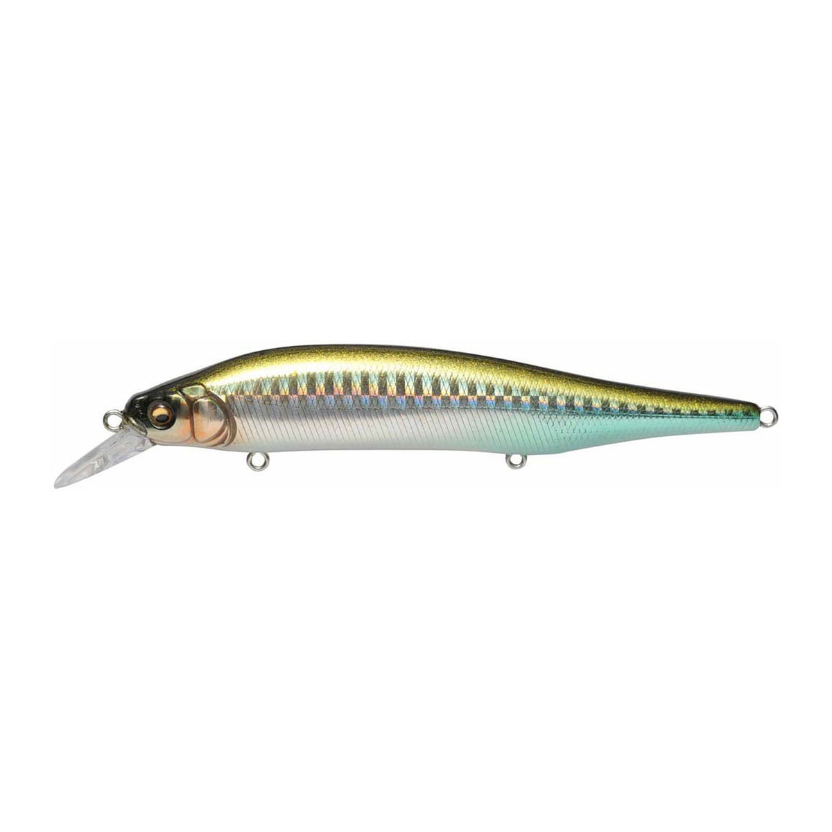 Megabass X-80 Magnum in GG Sappa — official product photo