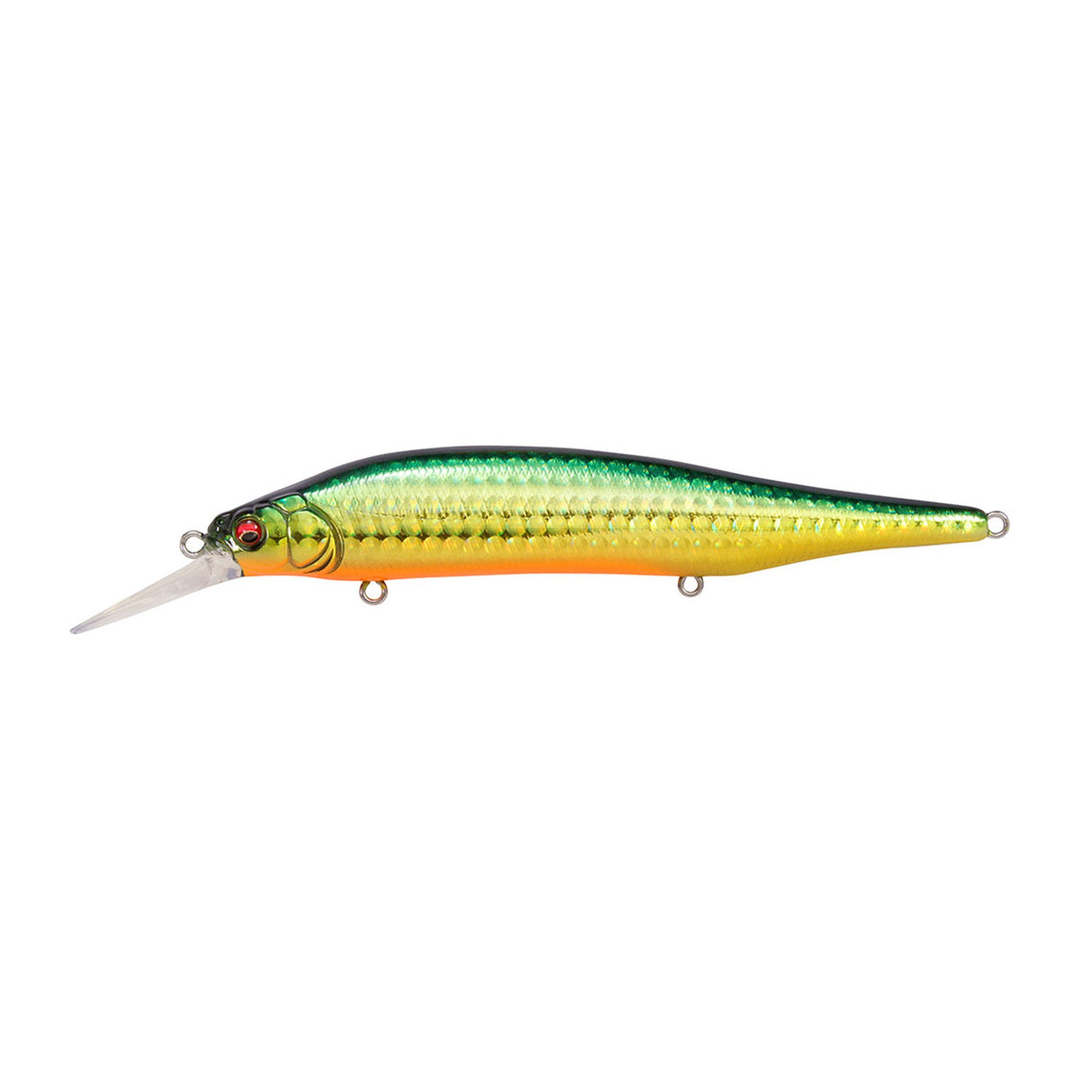 Megabass X-80 Magnum+1 in GG Guri Kin OB — official product photo
