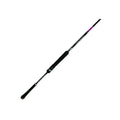 Xesta CATAPULT LIGHT SPEC
