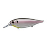 Cold Shad